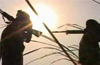 Naxals spotted in Sullia-Madikeri region  ?